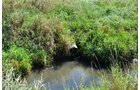 Property photo 2 - 66.9+/- Acres Offered in 2 Tracts - Mostly Tillable Farmland